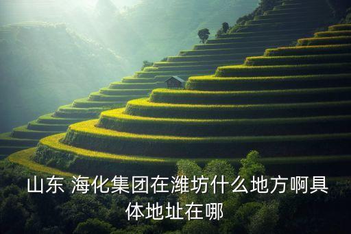 山東?；⑴d化工有限公司,濰坊盛興化工有限公司
