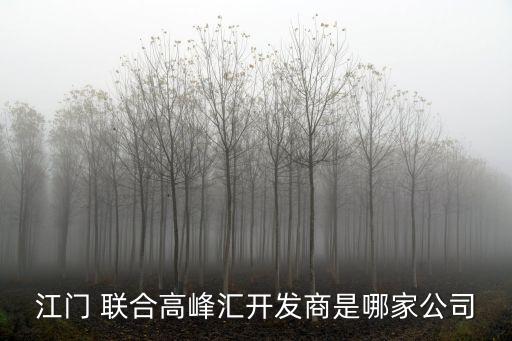 江門 聯合高峰匯開發(fā)商是哪家公司