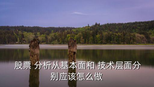  股票 分析從基本面和 技術層面分別應該怎么做