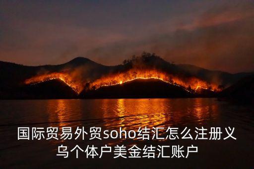 國(guó)際貿(mào)易外貿(mào)soho結(jié)匯怎么注冊(cè)義烏個(gè)體戶美金結(jié)匯賬戶