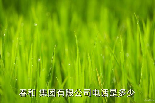 春和集團(tuán)上市了嗎,國春國際集團(tuán)能上市嗎
