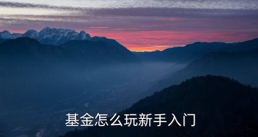  基金怎么玩新手入門(mén)