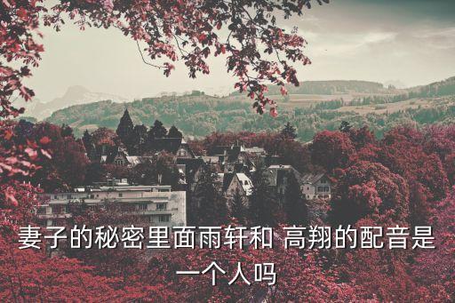妻子的秘密里面雨軒和 高翔的配音是一個人嗎