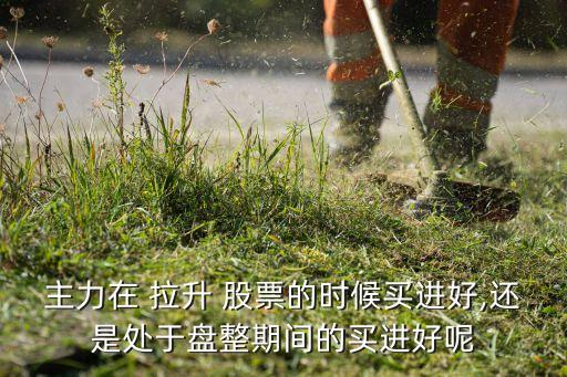 主力在 拉升 股票的時候買進(jìn)好,還是處于盤整期間的買進(jìn)好呢