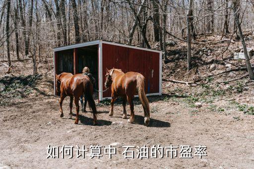 如何計算中 石油的市盈率