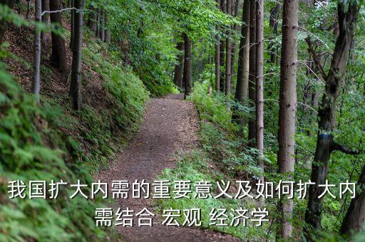 我國(guó)擴(kuò)大內(nèi)需的重要意義及如何擴(kuò)大內(nèi)需結(jié)合 宏觀(guān) 經(jīng)濟(jì)學(xué)