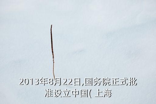 2013年8月22日,國務院正式批準設立中國( 上海