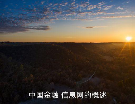 中國金融 信息網的概述