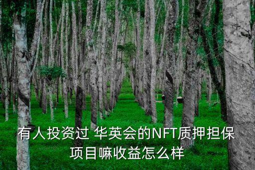 有人投資過 華英會的NFT質(zhì)押擔(dān)保項目嘛收益怎么樣