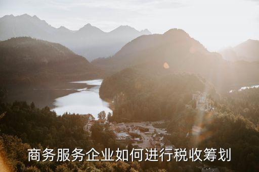 上海電子商務優(yōu)惠政策,我國對電子商務國際化優(yōu)惠政策