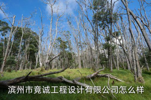  濱州市竟誠(chéng)工程設(shè)計(jì)有限公司怎么樣