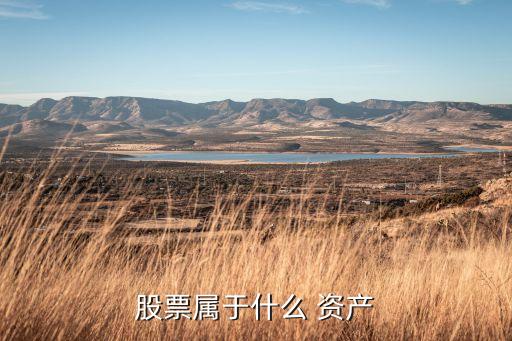 哪些資產能算公司股份,公司資產管理包括哪些方面
