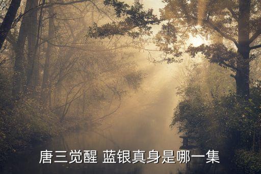 杭州藍銀電腦科技有限公司