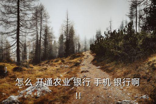 怎么 開(kāi)通農(nóng)業(yè) 銀行 手機(jī) 銀行啊!!