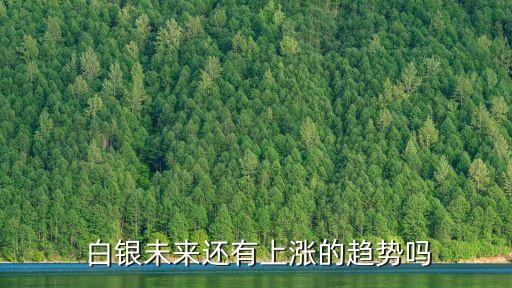  白銀未來(lái)還有上漲的趨勢(shì)嗎