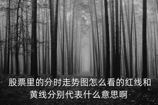 東風科技股票現(xiàn)場交易圖,600081東風科技股票