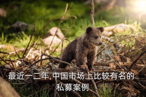 私募股權投資公司排名,中國私募股權投資公司排名