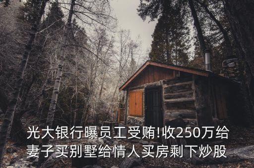  光大銀行曝員工受賄!收250萬(wàn)給妻子買(mǎi)別墅給情人買(mǎi)房剩下炒股