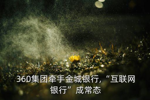  360集團牽手金城銀行,“互聯(lián)網(wǎng) 銀行”成常態(tài)