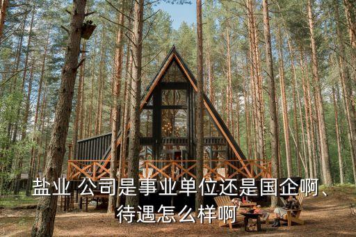  鹽業(yè) 公司是事業(yè)單位還是國(guó)企啊、待遇怎么樣啊