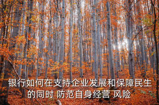  銀行如何在支持企業(yè)發(fā)展和保障民生的同時 防范自身經(jīng)營 風(fēng)險