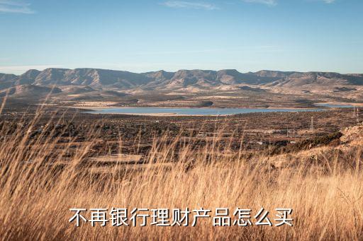 不再銀行理財(cái)產(chǎn)品怎么買