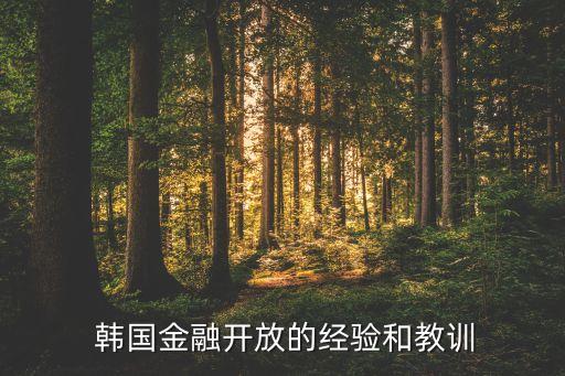  韓國金融開放的經(jīng)驗和教訓(xùn)