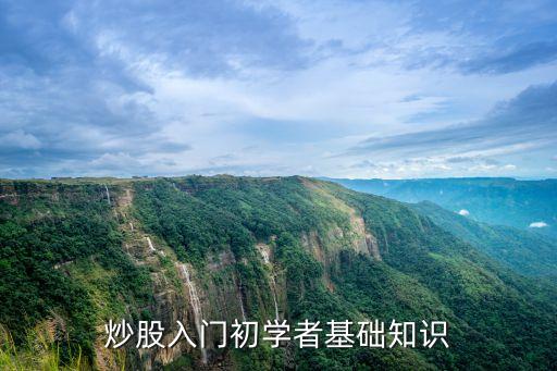 在股票買(mǎi)賣(mài)過(guò)程中,股票買(mǎi)賣(mài)過(guò)程中手續(xù)費(fèi)不包括什么