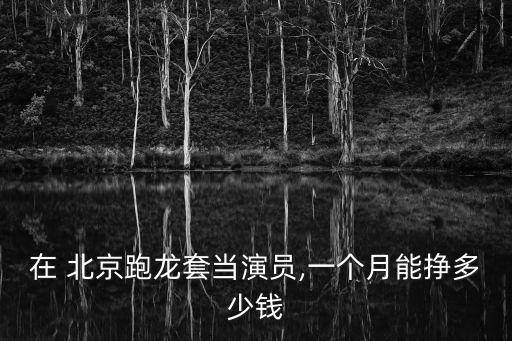 在 北京跑龍?zhí)桩斞輪T,一個月能掙多少錢