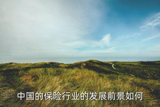 中國的保險(xiǎn)行業(yè)的發(fā)展前景如何