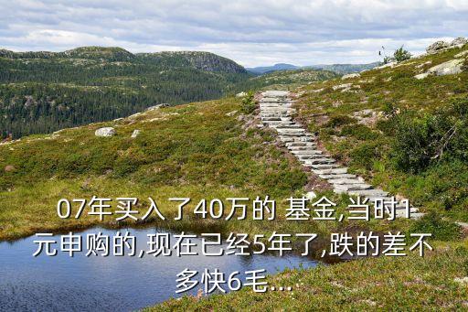 07年買(mǎi)入了40萬(wàn)的 基金,當(dāng)時(shí)1元申購(gòu)的,現(xiàn)在已經(jīng)5年了,跌的差不多快6毛...