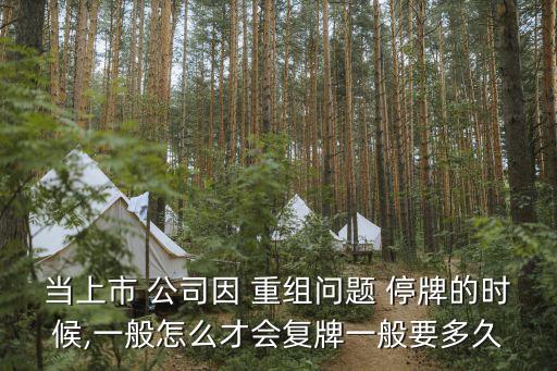 當上市 公司因 重組問題 停牌的時候,一般怎么才會復牌一般要多久