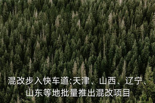 混改步入快車道:天津、山西、遼寧、山東等地批量推出混改項(xiàng)目