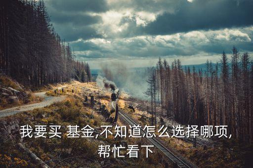 我要買 基金,不知道怎么選擇哪項(xiàng),幫忙看下