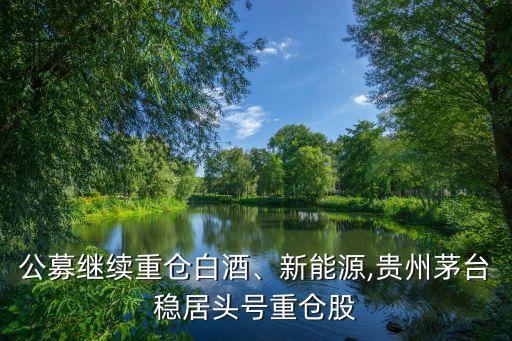 公募繼續(xù)重倉白酒、新能源,貴州茅臺穩(wěn)居頭號重倉股