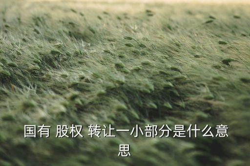  國(guó)有 股權(quán) 轉(zhuǎn)讓一小部分是什么意思