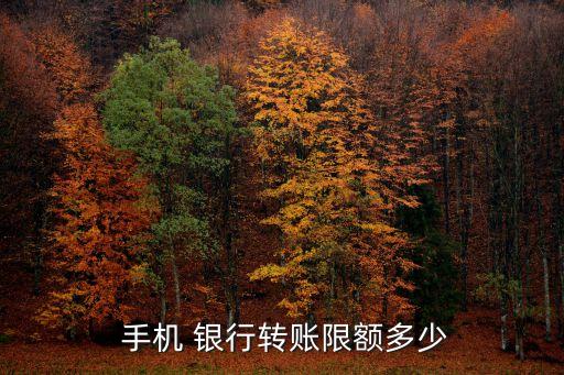  手機 銀行轉(zhuǎn)賬限額多少