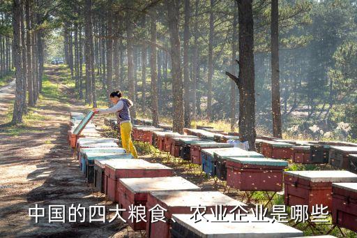 中國的四大糧食、農(nóng)業(yè)企業(yè)是哪些