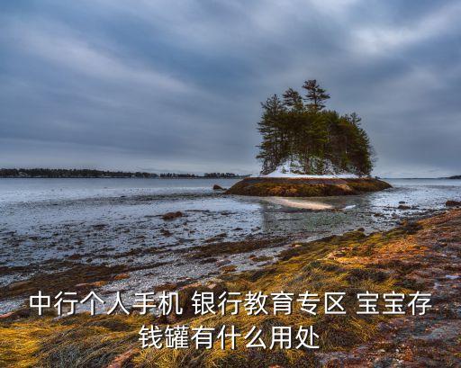 中行個人手機 銀行教育專區(qū) 寶寶存錢罐有什么用處