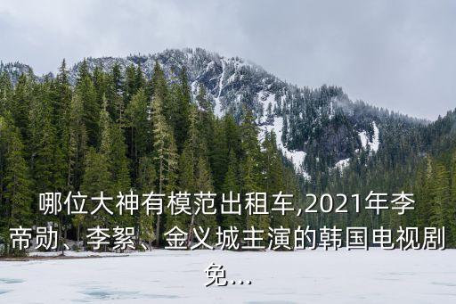 哪位大神有模范出租車,2021年李帝勛、李絮、金義城主演的韓國電視劇免...