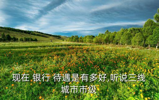 五大銀行哪個待遇好,中國五大銀行待遇排名