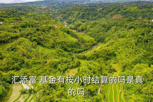 匯添富醫(yī)療基金凈值,470028匯添富社會(huì)責(zé)任基金凈值