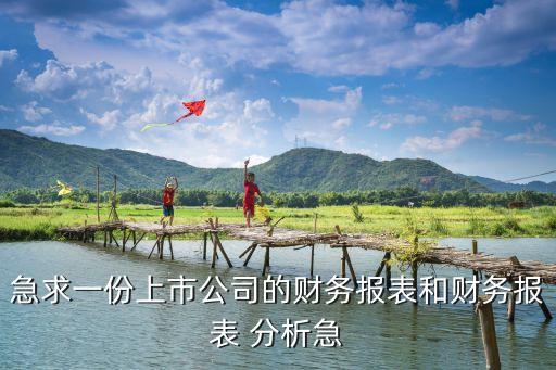急求一份上市公司的財務(wù)報表和財務(wù)報表 分析急