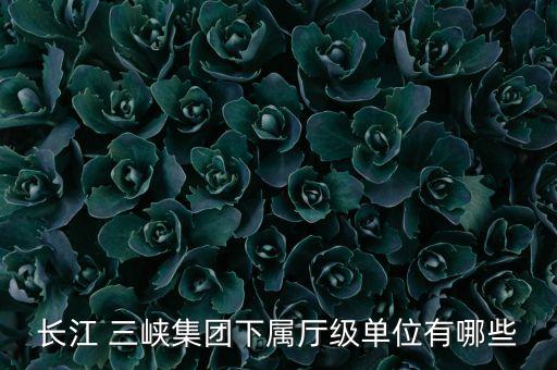 長江 三峽集團(tuán)下屬廳級單位有哪些