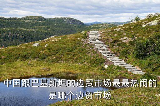 中國邊境貿(mào)易城,現(xiàn)在中國邊境貿(mào)易現(xiàn)狀