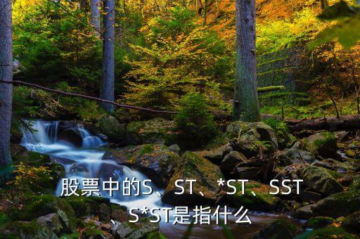  股票中的S、ST、*ST、SST、S*ST是指什么