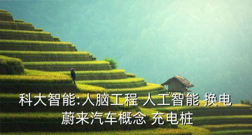 科大智能:人腦工程 人工智能 換電 蔚來(lái)汽車概念 充電樁