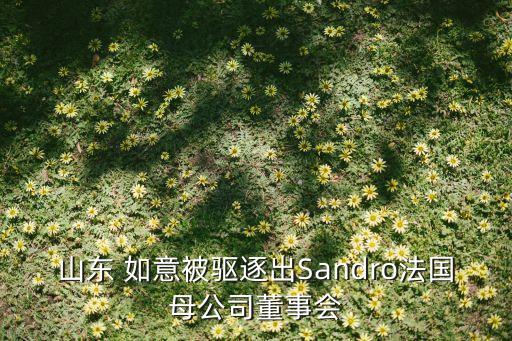 山東 如意被驅(qū)逐出Sandro法國母公司董事會(huì)