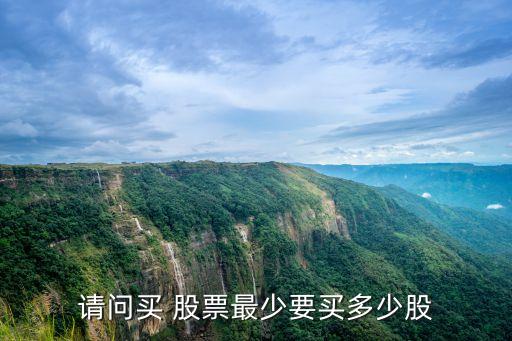 請(qǐng)問(wèn)買 股票最少要買多少股