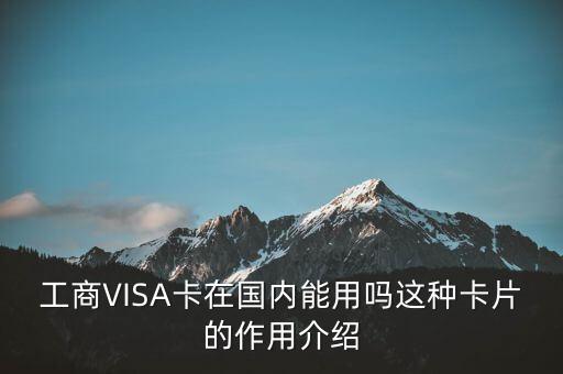 工商VISA卡在國(guó)內(nèi)能用嗎這種卡片的作用介紹